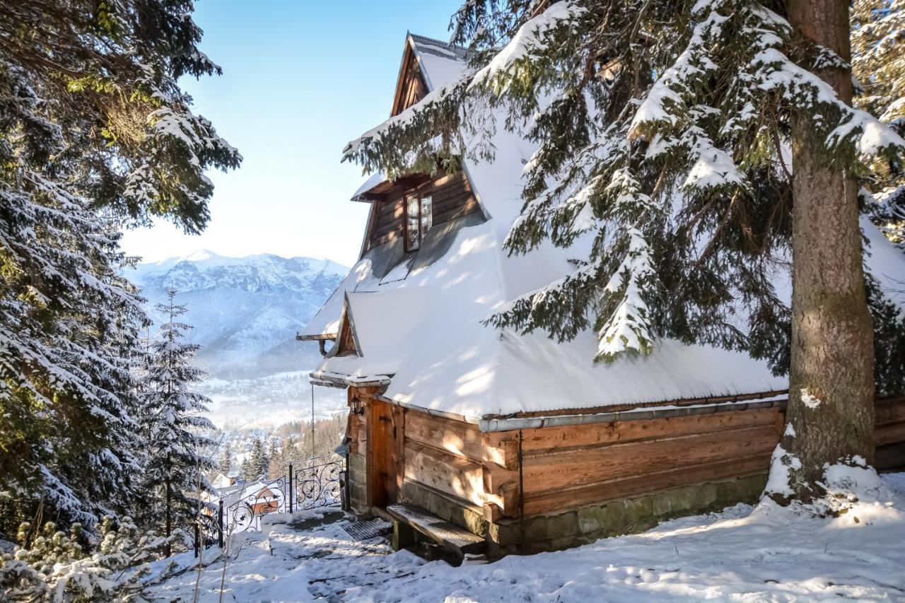Lodge Pod Bukiem 1 *